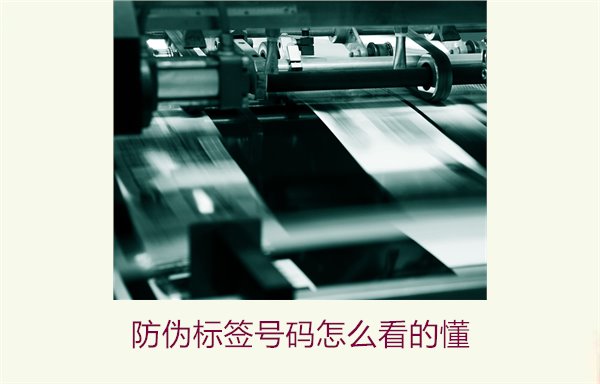 防偽標簽號碼怎么看的懂？詳細解析防偽標簽號碼的識別方法與技巧(圖1)