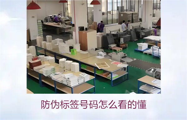 防偽標簽號碼怎么看的懂？詳細解析防偽標簽號碼的識別方法與技巧(圖2)