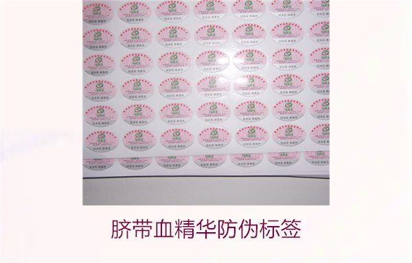 臍帶血精華防偽標簽的辨識方法與技巧，避免假貨風險(圖1)